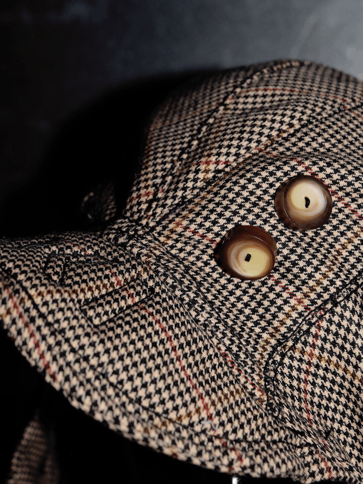 L’inspecteur